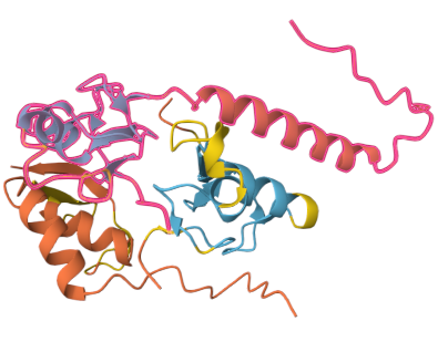 AlphaFold RBX1 and my antibody
